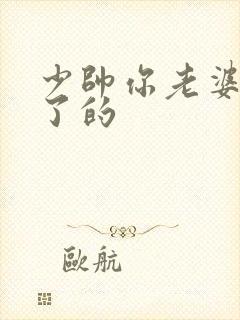 少帅你老婆又跑了的