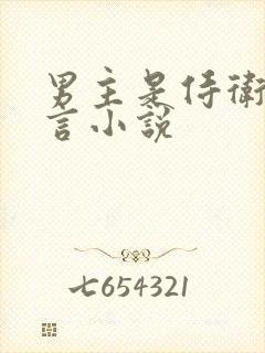 男主是侍卫的古言小说封面