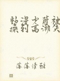 动漫少萝被狂操操到高潮失禁