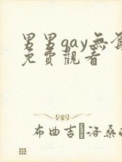 男男gay无套免费观看封面