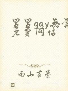 男男gay无套免费网站