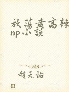 放荡黄高辣h文np小说