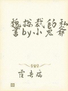魏总裁的私人秘书by小兔爷的最新章节