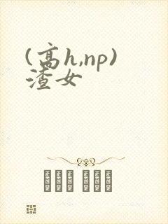 (高h,np)渣女