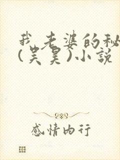 我老婆的秘密 (吴昊)小说
