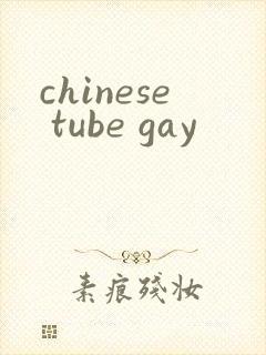 chinese tube gay封面