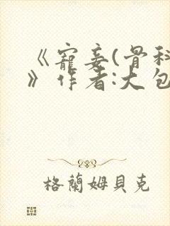 《宠妾(骨科)》作者:大包子