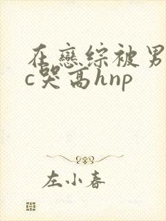 在恋综被男主们c哭高hnp封面