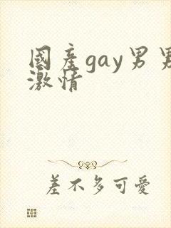 国产gay男男激情