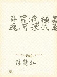 斗罗:我极品武魂,可湮灭万物