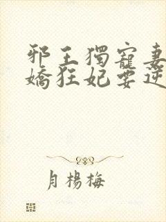 邪王独宠妻:傲娇狂妃要逆天