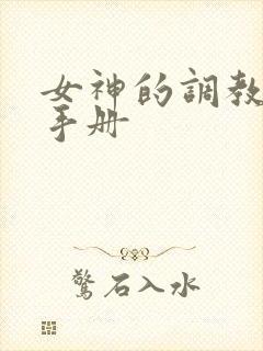 女神的调教攻略手册封面