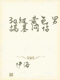 3a级黄色男男搞基网站