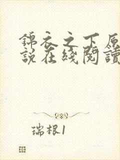锦衣之下原著小说在线阅读