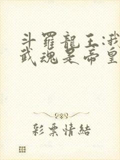 斗罗龙王:我的武魂是帝皇铠甲
