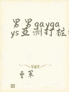 男男gaygays亚洲打桩机