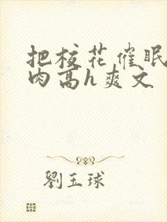 把校花催眠了纯肉高h爽文