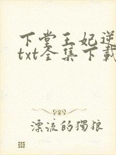下堂王妃逆袭记txt全集下载