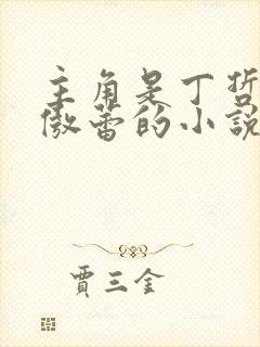 主角是丁哲,林傲蕾的小说封面