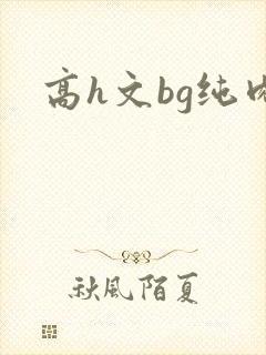 高h文bg纯肉