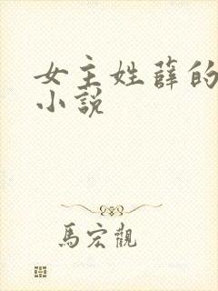 女主姓薛的现代小说封面