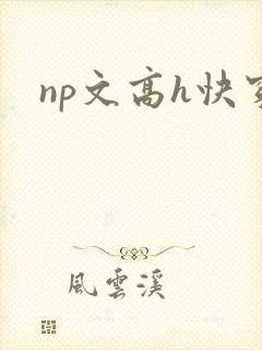 np文高h快穿封面