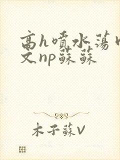 高h喷水荡肉爽文np苏苏