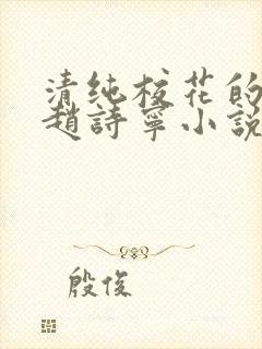清纯校花的堕落赵诗宁小说全文免费封面