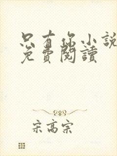 只有你小说原著免费阅读