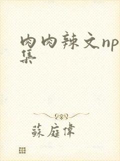 肉肉辣文np合集