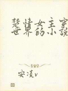 楚情女主穿越异世界的小说