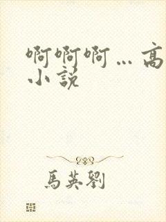 啊啊啊…高潮了小说