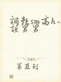 调教sm高h小说男男