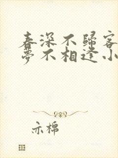 春深不归客,清梦不相逢小说阅读