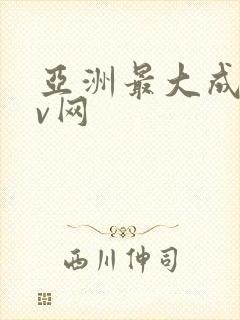 亚洲最大成人av网