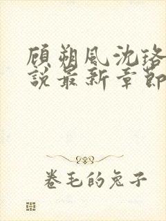 顾朔风沈珞舒小说最新章节更新内容封面