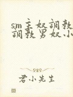 sm主奴调教:调教男奴小说封面