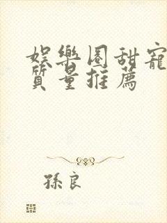 娱乐圈甜宠文高质量推荐