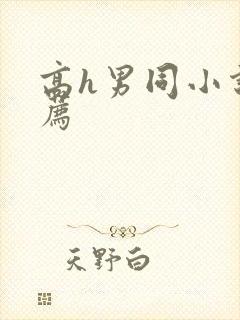 高h男同小说推荐