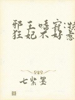 邪王嗜宠:特工狂妃不好惹封面