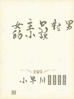 女主只对男主好的小说封面