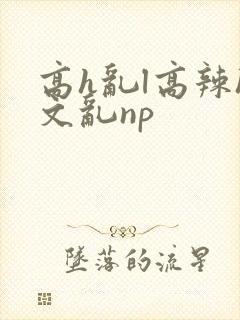 高h乱l高辣h文乱np