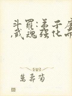 斗罗:弟子唐三,武魂强化面板