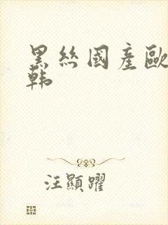 黑丝国产欧美日韩