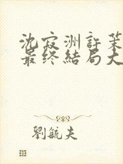 沈寂洲许茉孟姣最终结局大结局