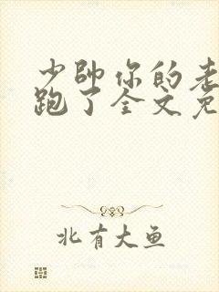 少帅你的老婆又跑了全文免费阅读