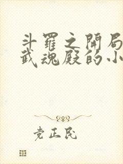斗罗之开局加入武魂殿的小说