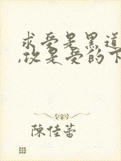 求受是黑道大佬,攻是受的下属的小说