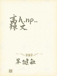 高h.np..辣文封面
