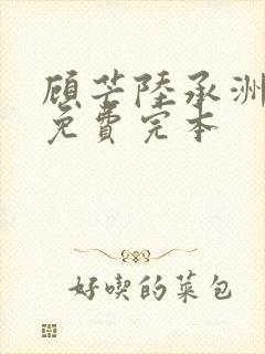 顾芒陆承洲小说免费完本封面